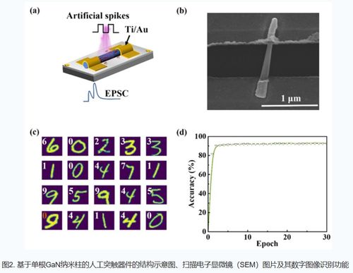 新型氮化鎵基光電器件 中國科學(xué)院突破效率瓶頸，助推綠色半導(dǎo)體革命